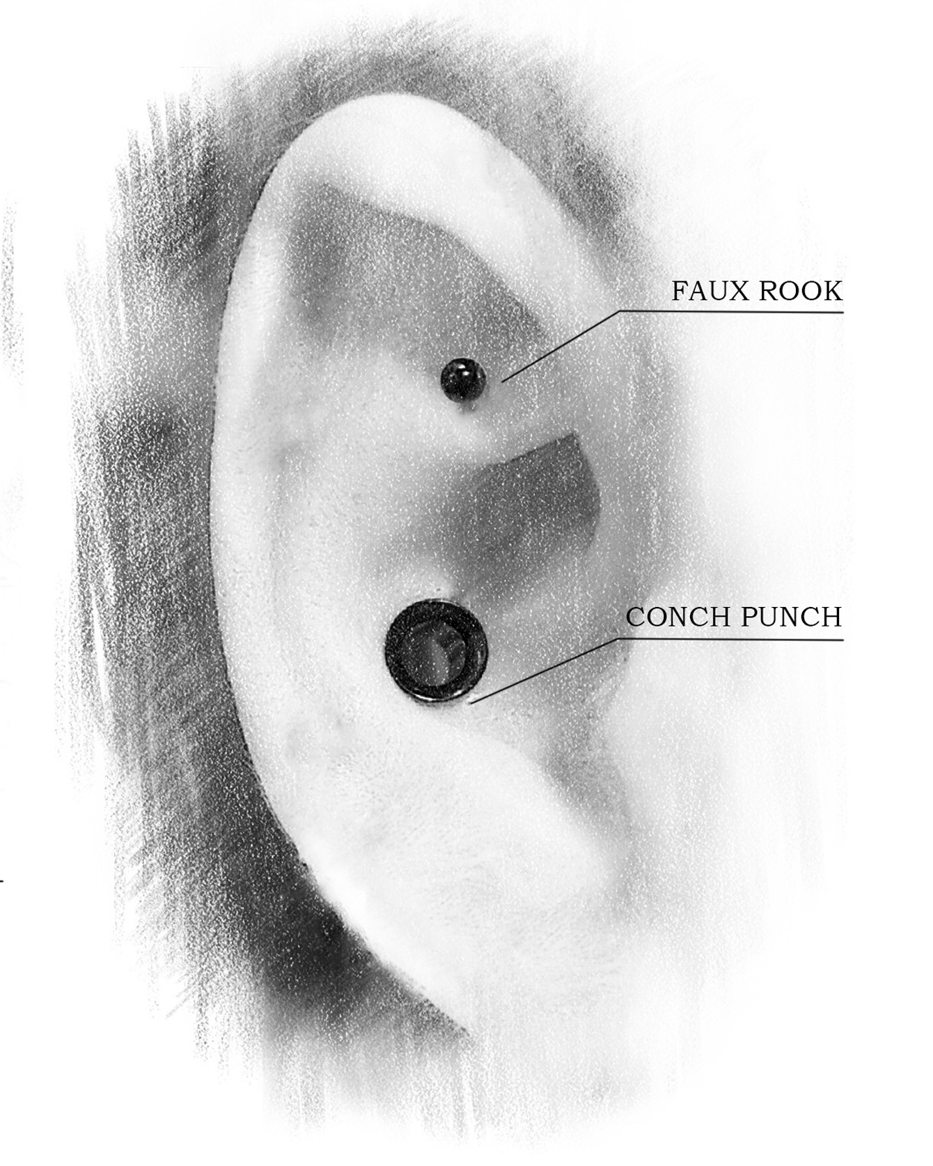 Ear cartilage punch (Conch punch) - Kipod